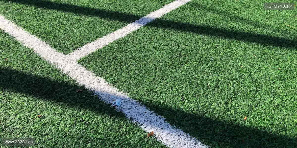 影视盛典,激情无限!🔥🎬